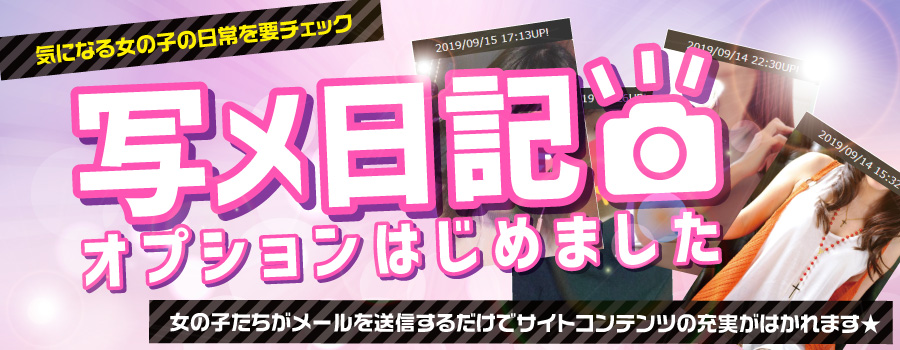 照片日记选项已开始提供